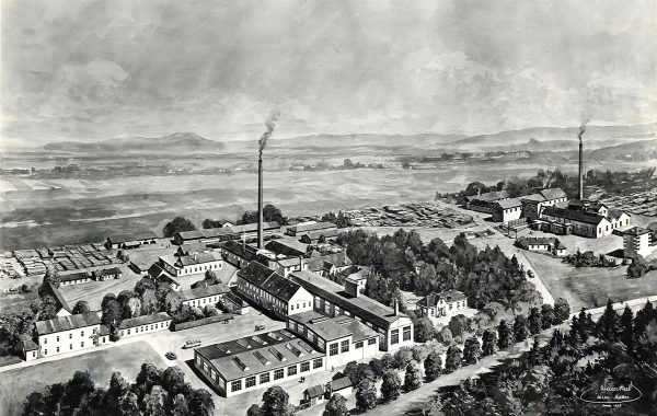 1906 - Zellstofferzeugung in St. Pölten